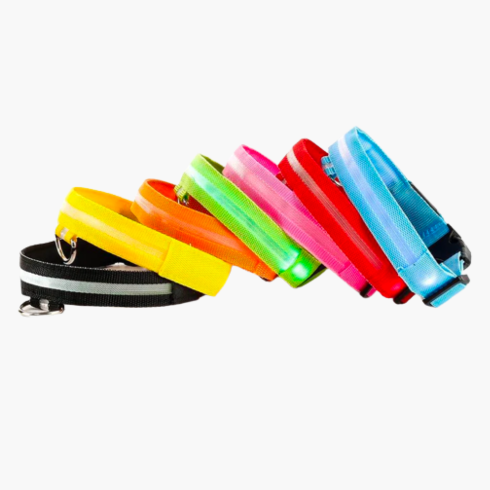 Ramler - Lichtgevende hondenhalsband voor veiligheid in het donker