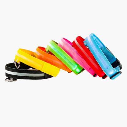 Ramler - Lichtgevende hondenhalsband voor veiligheid in het donker