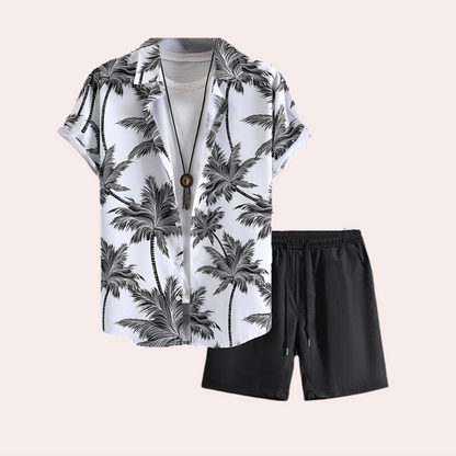 Heren palmboom zomerset