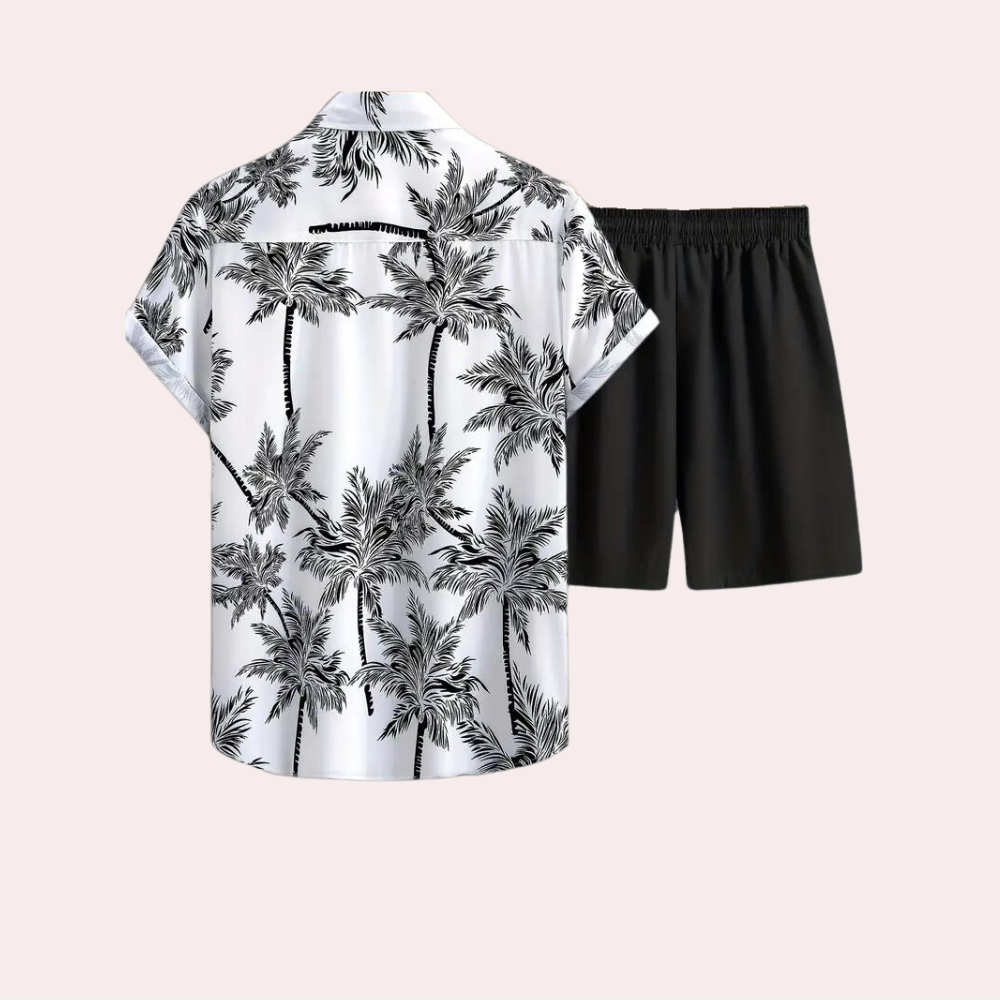Heren palmboom zomerset