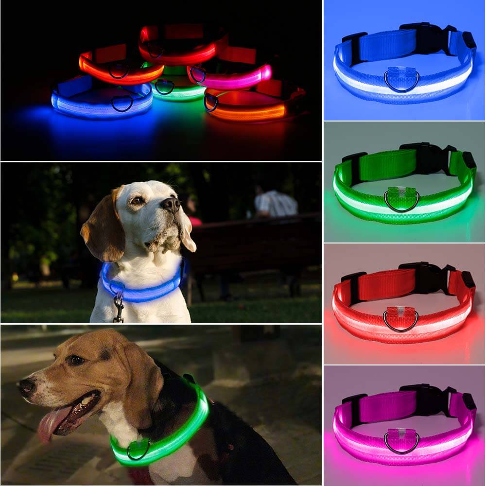 Ramler - Lichtgevende hondenhalsband voor veiligheid in het donker