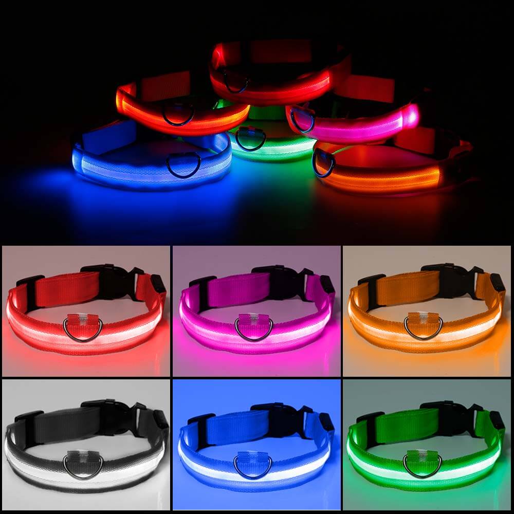 Ramler - Lichtgevende hondenhalsband voor veiligheid in het donker