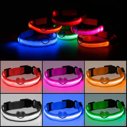 Ramler - Lichtgevende hondenhalsband voor veiligheid in het donker
