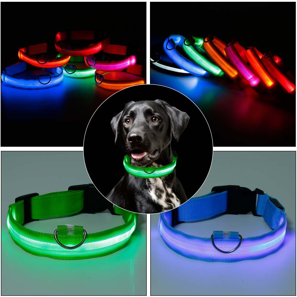 Ramler - Lichtgevende hondenhalsband voor veiligheid in het donker