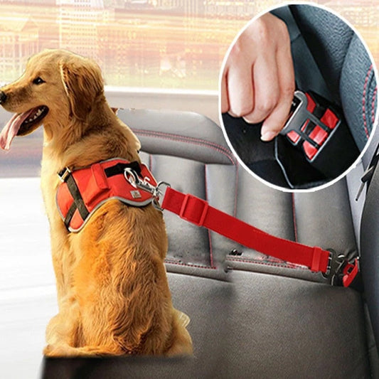 SafePet - Veilige autogordel
