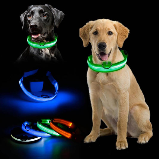 Ramler - Lichtgevende hondenhalsband voor veiligheid in het donker