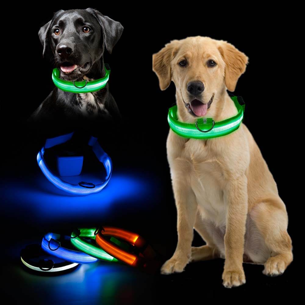 Ramler - Lichtgevende hondenhalsband voor veiligheid in het donker