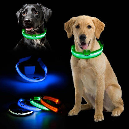 Ramler - Lichtgevende hondenhalsband voor veiligheid in het donker