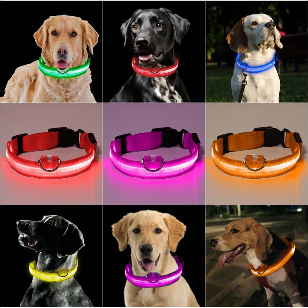 Ramler - Lichtgevende hondenhalsband voor veiligheid in het donker