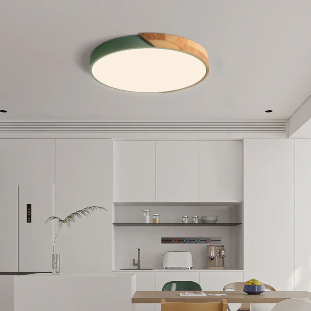 Haro LED Plafondlamp | Scandinavisch Hout & Acryl
