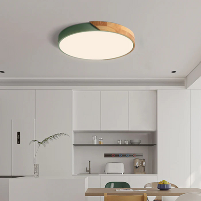 Haro LED Plafondlamp | Scandinavisch Hout & Acryl