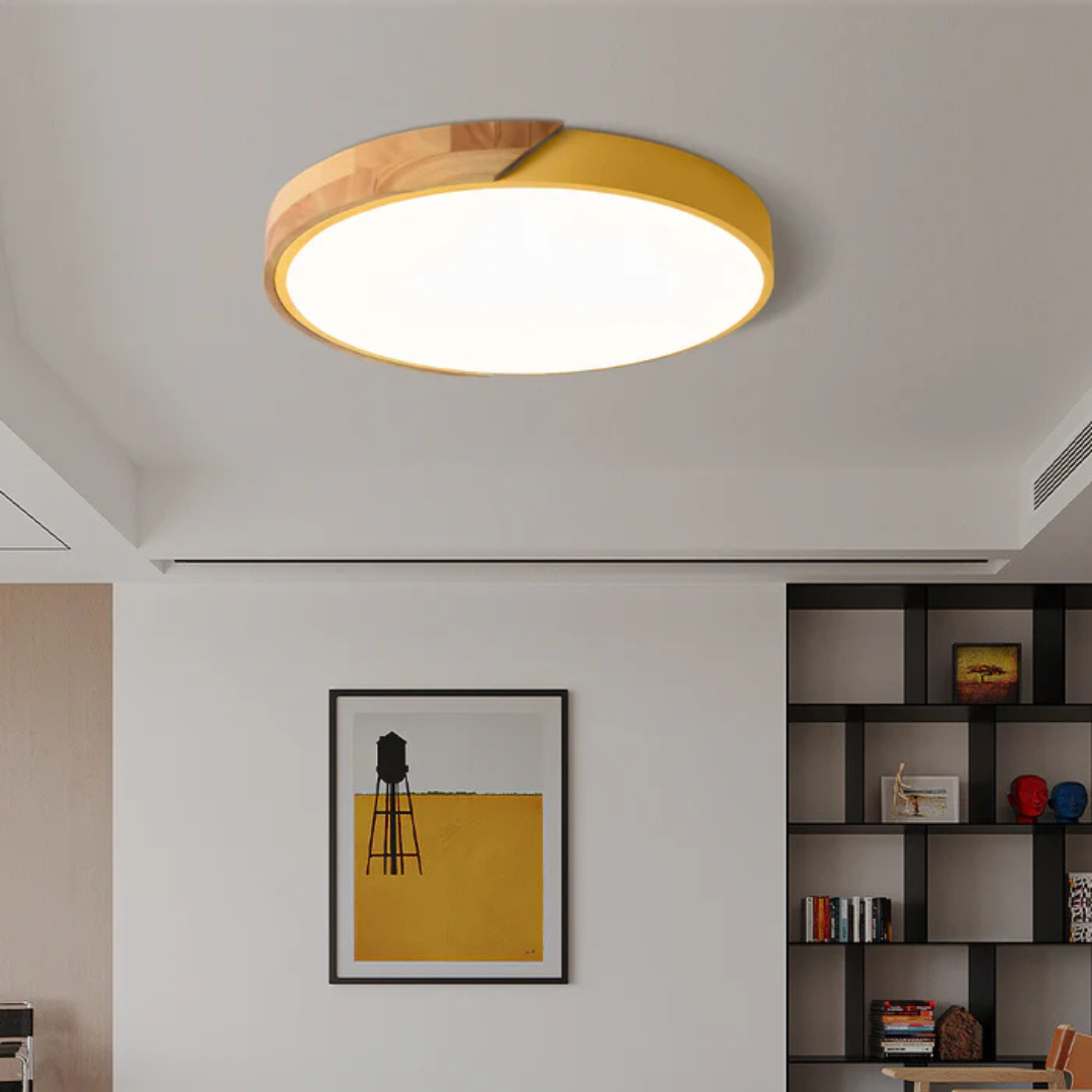 Haro LED Plafondlamp | Scandinavisch Hout & Acryl