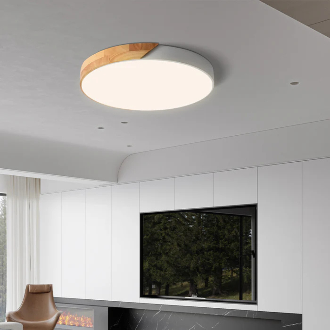 Haro LED Plafondlamp | Scandinavisch Hout & Acryl
